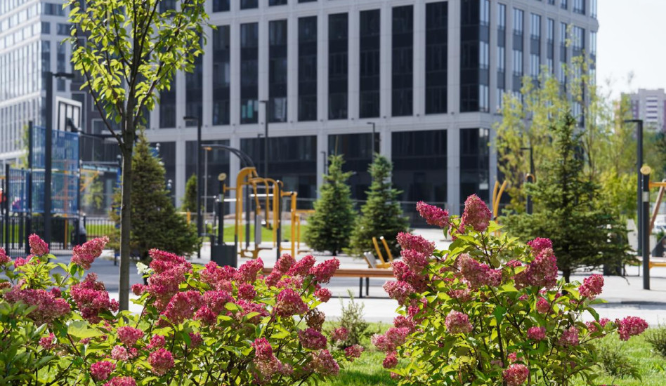 Sminex разобьет сады на западе Москвы